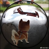 加肥菲