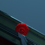 庄秋