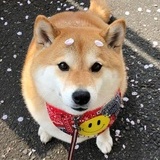 Ke