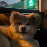 派大星是对的