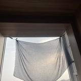 冷茜