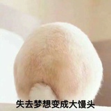 竹轩