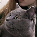 单单