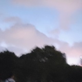 zozobird