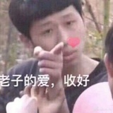 琴主