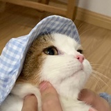 烏啦