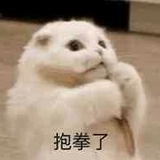 石头
