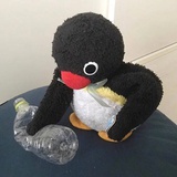 pchan