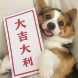 最近状态低迷