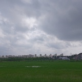 丹下直山