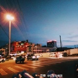 楠