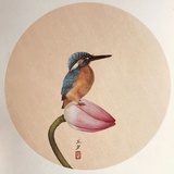 茶鹎头