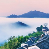 淡定点