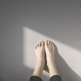 一只羊的羽毛