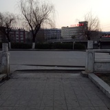 忍冬。