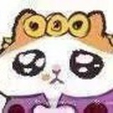 喜马拉雅的猫