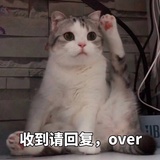 小白的头号粉丝