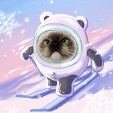 猫猫头🍙