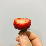玖肆。