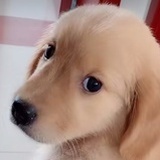 一个人