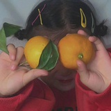 送你个橘子🍊