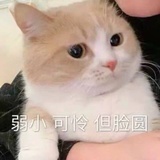 夏夜晚风