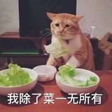 没有昵称