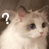 乌乌啦