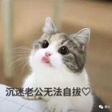 翡你不可