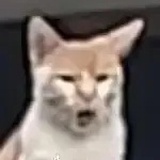 点你呢