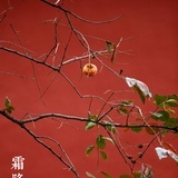 小懒蒋