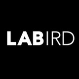 LABIRD