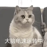 胡胡胡