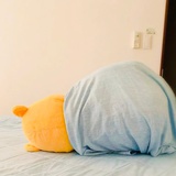 小白免