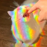 ^_^