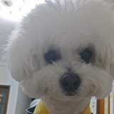 陈信宏