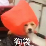 依依啊