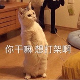 八聲甘州
