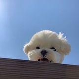 O2
