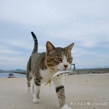 Miss Brigitta
