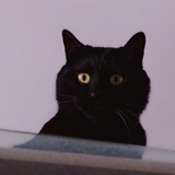 EyeDonut