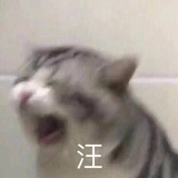 svnnynight