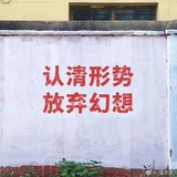 浅浅lin