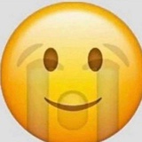 屁屁屁屁烦死了