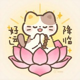 荔枝西瓜冰可乐