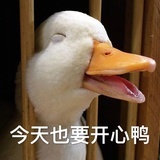三无桃李年华