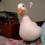 你看起來很好吃