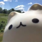 没什么