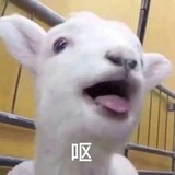 闞