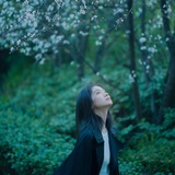 野风.